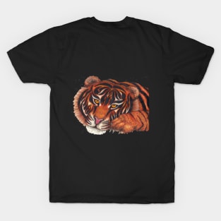 Tiger Nap T-Shirt